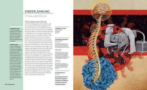 Produktbild: Anatomie und Medizin in 30 Sekunden