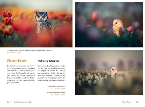 Produktbild: Tierische Momente fotografieren