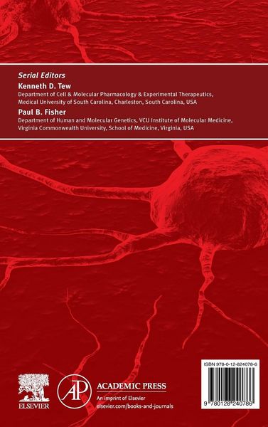 Produktbild: Novel Approaches to Colorectal Cancer