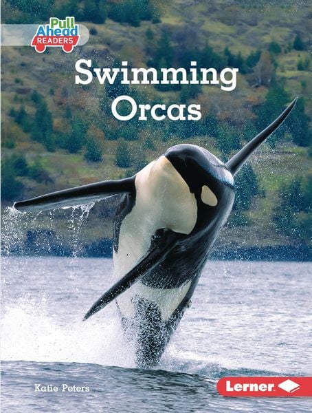 Produktbild: Swimming Orcas