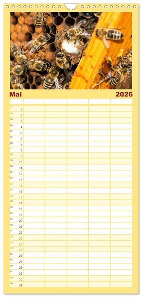 Produktbild: Familienplaner 2026 - Bienenkalender mit 5 Spalten (Wandkalender, 21 x 45 cm) CALVENDO