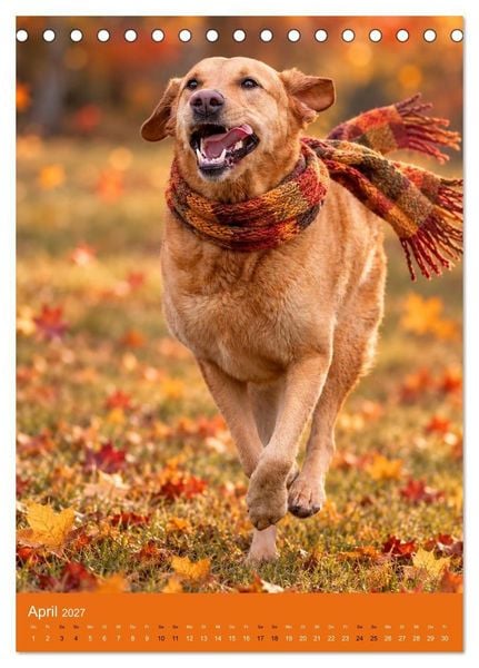 Produktbild: Goldener Herbst Eine tierische Fantasiewelt (Tischkalender 2027 DIN A5 hoch), CALVENDO Monatskalender