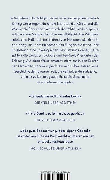 Produktbild: Rauschen in der Nacht