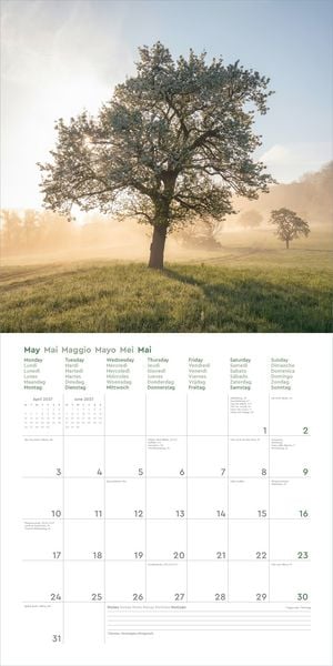 Produktbild: Aufgebl&uuml;ht - KUNTH Broschurkalender 2027