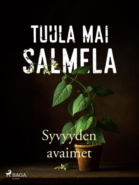 Produktbild: Syvyyden avaimet