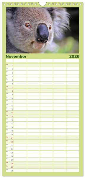 Produktbild: Familienplaner 2026 - Koala - kleiner Teddy mit 5 Spalten (Wandkalender, 21 x 45 cm) CALVENDO
