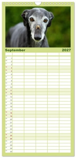Produktbild: Familienplaner 2027 - Der Windhundekalender mit 5 Spalten (Wandkalender, 21 x 45 cm) CALVENDO