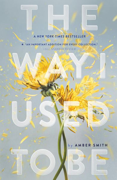Produktbild: The Way I Used to Be