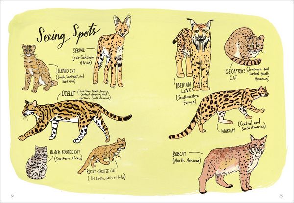 Produktbild: Wildlife Anatomy