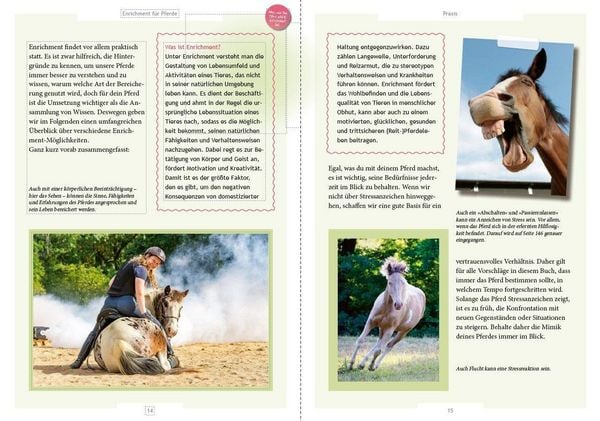 Produktbild: Enrichment f&uuml;r Pferde