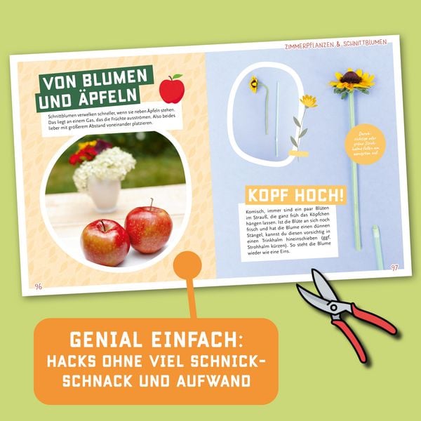 Produktbild: Es gr&uuml;nt so gr&uuml;n! Geniale Lifehacks f&uuml;r Gartenliebhaber