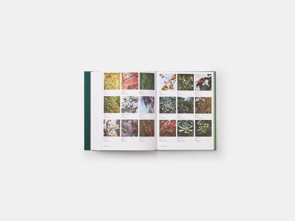 Produktbild: The Japanese Garden