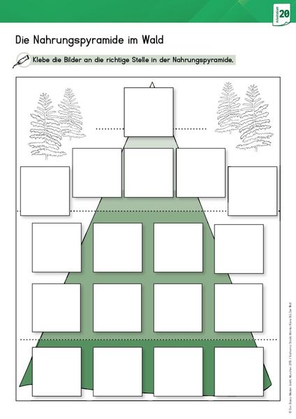 Produktbild: Arbeitsmaterial Grundschule. Sachunterricht: Der Wolf.