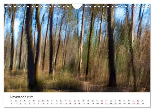 Produktbild: Abstrakte Naturerlebnisse - ICM (Intentional Camera Movement) Fotografie (Wandkalender 2026 DIN A4 quer), CALVENDO Monatskalender