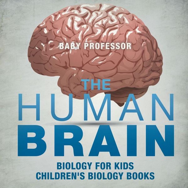 Produktbild: The Human Brain - Biology for Kids | Children's Biology Books