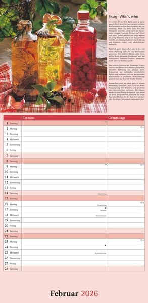 Kräuter & Gewürze 2026 - Streifenkalender 22x45 cm - mit Extraspalte für Geburtstage - Küchentipps und Mondphasen - Wandkalender - Terminplaner