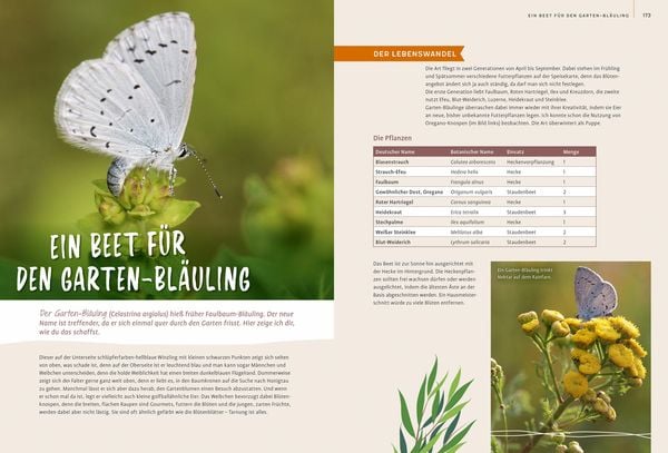 Produktbild: Lass wachsen!
