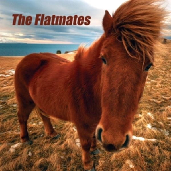 The Flatmates - The Flatmates, Vinyl