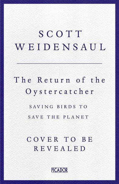 Produktbild: Weidensaul, S: Return of the Oystercatcher