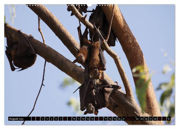 Produktbild: West-Australien (hochwertiger Premium Wandkalender 2026 DIN A2 quer), Kunstdruck in Hochglanz
