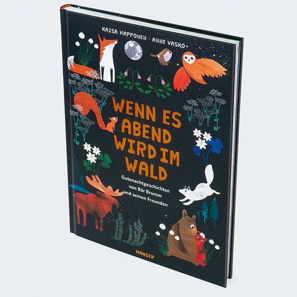 Produktbild: Wenn es Abend wird im Wald
