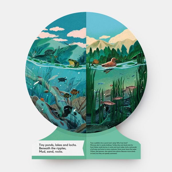Produktbild: Our Underwater World
