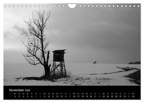 Produktbild: B&auml;ume trees 2026 (Wandkalender 2026 DIN A4 quer), CALVENDO Monatskalender