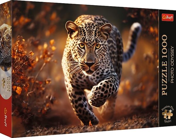 Produktbild: Photo Odyssey: Wild Leopard