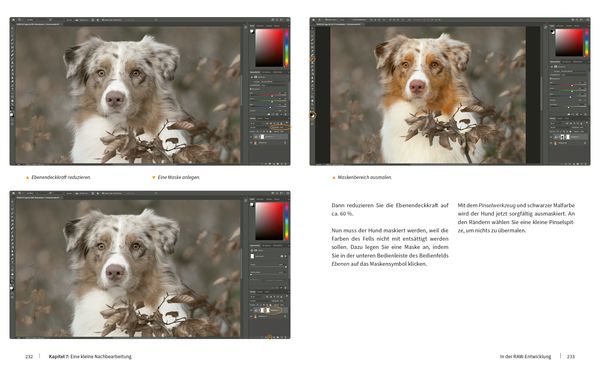 Produktbild: Hunde fotografieren - Kreative Bilder mit "Wau-Effekt"