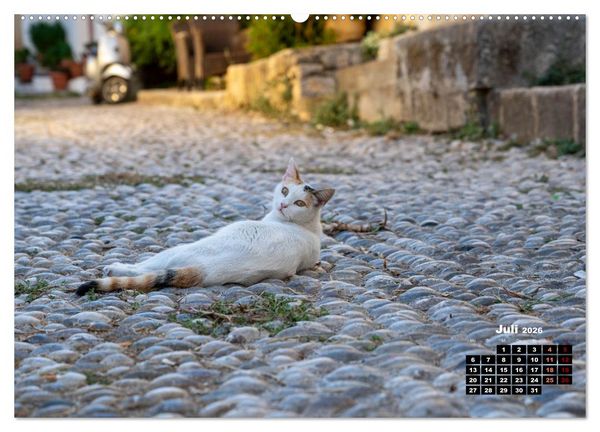 Produktbild: Katzen von Rhodos - Kleine G&ouml;tter auf vier Pfoten (hochwertiger Premium Wandkalender 2026 DIN A2 quer), Kunstdruck in Hochglanz