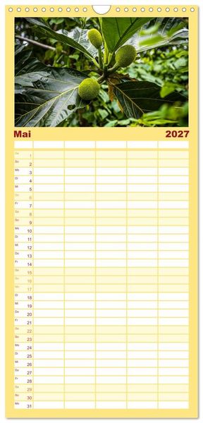 Produktbild: Familienplaner 2027 - Fr&uuml;chte der Karibik mit 5 Spalten (Wandkalender, 21 x 45 cm) CALVENDO