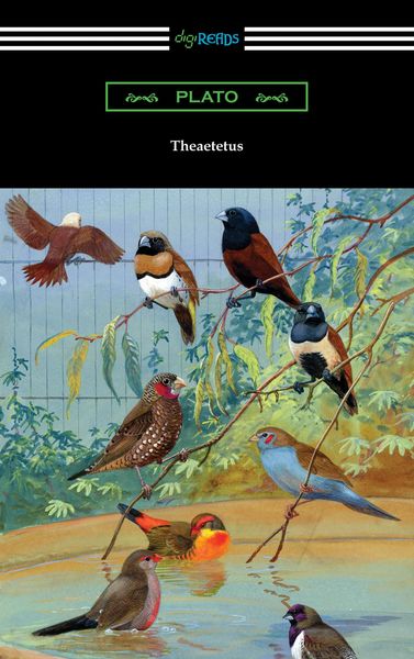 Produktbild: Theaetetus