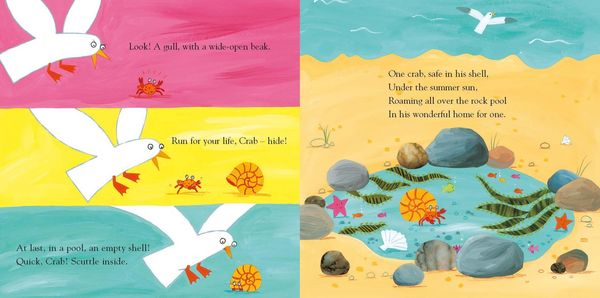 Produktbild: Sharing a Shell