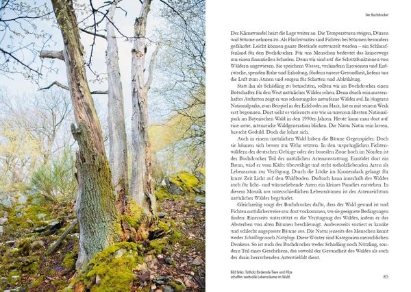 Produktbild: Wunderwelt Totholz
