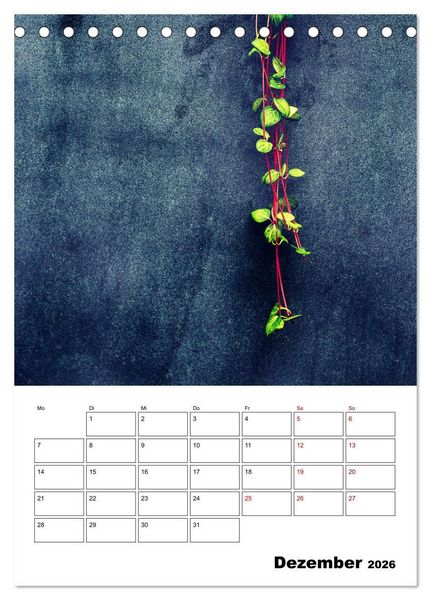 Produktbild: Mauerbl&uuml;mchen - Poesie im Allt&auml;glichen als Monatsplaner (Tischkalender 2026 DIN A5 hoch), CALVENDO Monatskalender