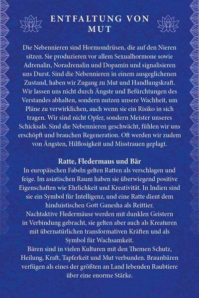 Produktbild: Kraftvolle Organe - &Uuml;bungen und Impulse zur Befreiung von Energieblockaden