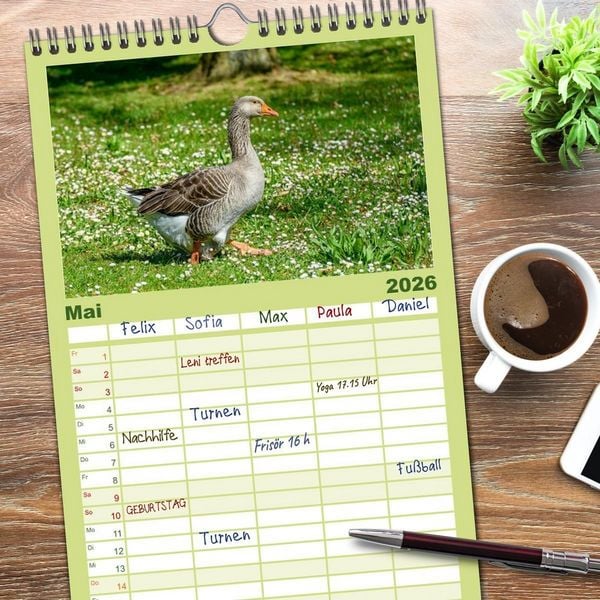 Produktbild: Familienplaner 2026 - Graug&auml;nse in heimischer Umgebung mit 5 Spalten (Wandkalender, 21 x 45 cm) CALVENDO