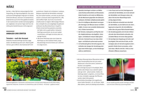 Produktbild: G&auml;rtnern im Gew&auml;chshaus Monat f&uuml;r Monat