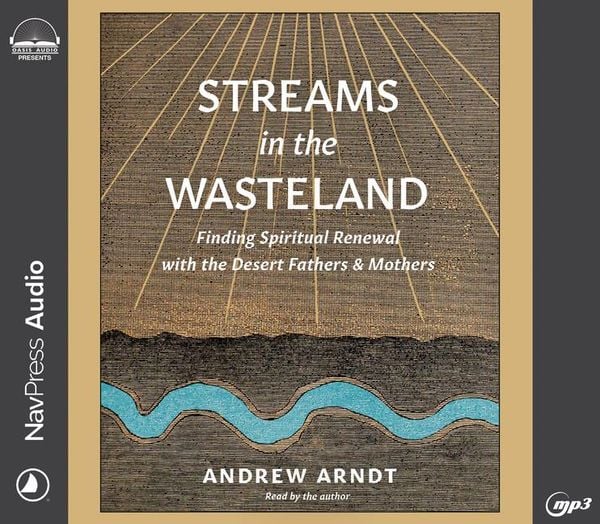 Produktbild: Streams in the Wasteland