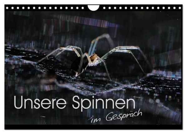 Produktbild: Unsere Spinnen - im Gespr&auml;ch (Wandkalender 2026 DIN A4 quer), CALVENDO Monatskalender