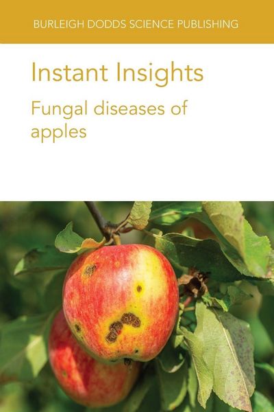 Produktbild: Instant Insights