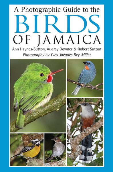 Produktbild: Haynes-Sutton, A: Photographic Guide to the Birds of Jamaica