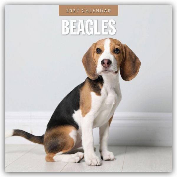 Produktbild: Beagles &ndash; Beagle 2027 &ndash; 16-Monatskalender