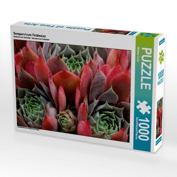 Produktbild: CALVENDO Puzzle Sempervivum Feldmeier | 1000 Teile Lege-Gr&ouml;&szlig;e 64x48cm Foto-Puzzle f&uuml;r gl&uuml;ckliche Stunden