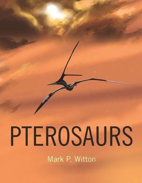 Produktbild: Pterosaurs