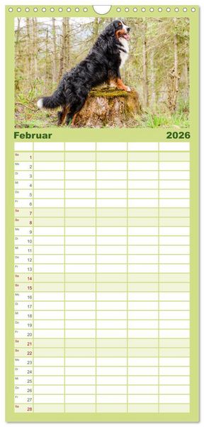 Produktbild: Familienplaner 2026 - Berner Sennenhunde - Traumhunde mit Charme mit 5 Spalten (Wandkalender, 21 x 45 cm) CALVENDO