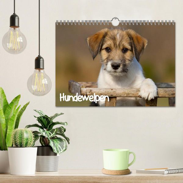 Produktbild: Hundewelpen (Wandkalender 2026 DIN A4 quer), CALVENDO Monatskalender