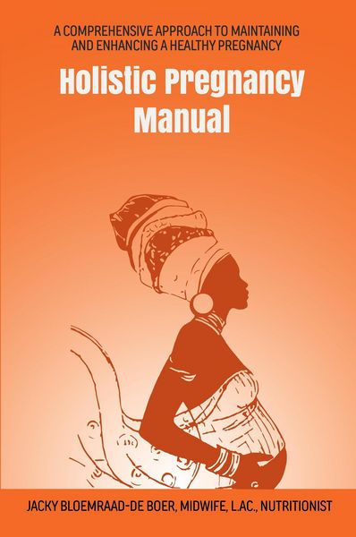 Produktbild: Holistic Pregnancy Manual (Maternal Health Manuals, #1)