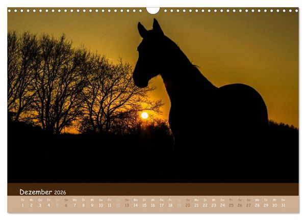 Produktbild: Mit Pferden durch&acute;s Jahr (Wandkalender 2026 DIN A3 quer), CALVENDO Monatskalender
