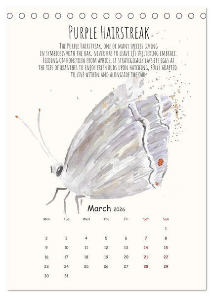 Produktbild: Symbiosis, the story of collaborations in nature (Desk Calendar 2026 DIN A5 portrait), CALVENDO 12 Month DeskCalendar